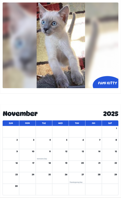 July 2025 - June 2026 Pami Kitty - Pawidols Pet Calendar