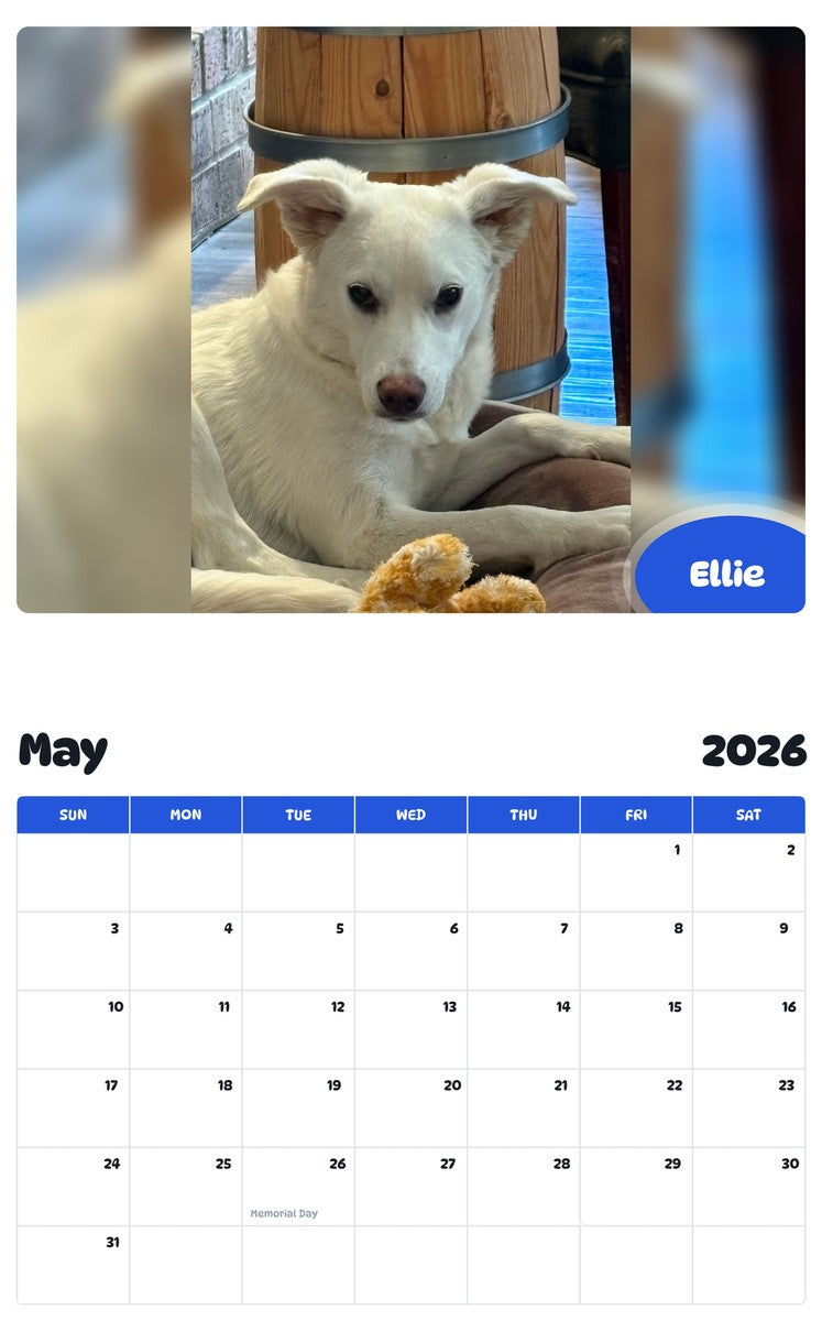 2026 - 2027 Ellie - Pawidols Pet Calendar
