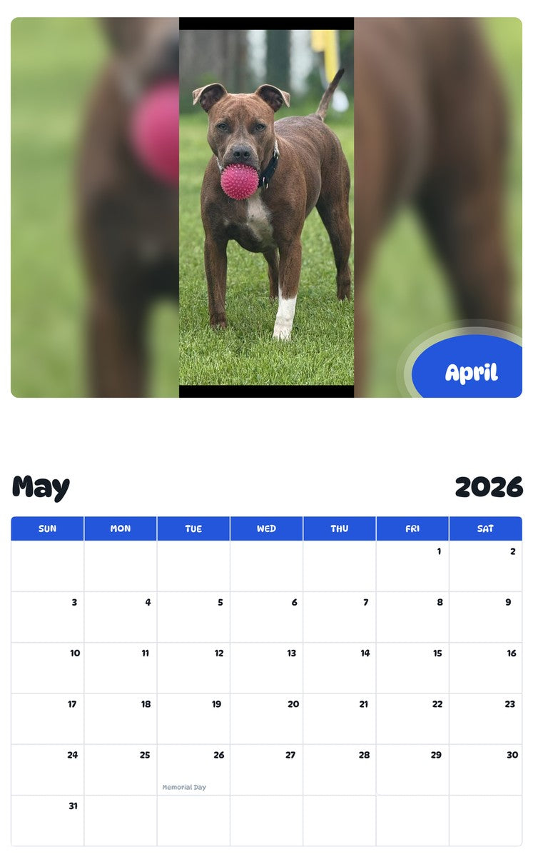 2026 - 2027 April - Pawidols Pet Calendar