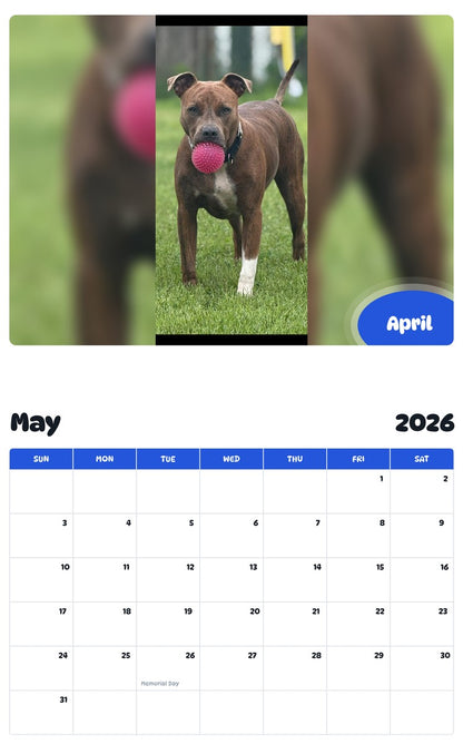 2026 - 2027 April - Pawidols Pet Calendar