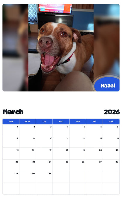 November 2025 - October 2026 Hazel - Pawidols Pet Calendar