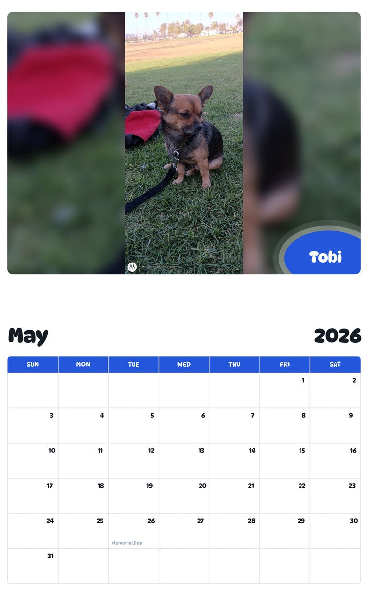 2026 - 2027 Tobi - Pawidols Pet Calendar