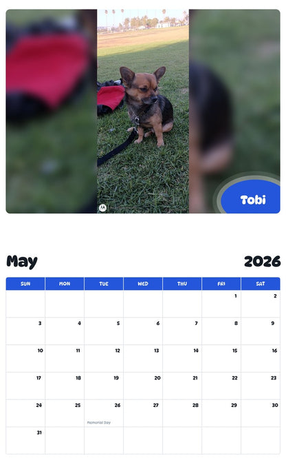 2026 - 2027 Tobi - Pawidols Pet Calendar