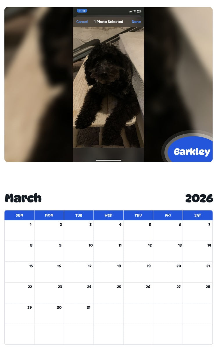 November 2025 - October 2026 Barkley - Pawidols Pet Calendar