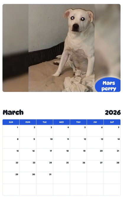 November 2025 - October 2026 Mars perry - Pawidols Pet Calendar