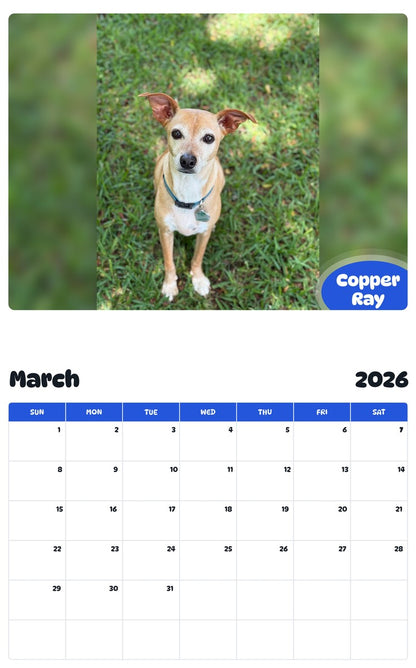 November 2025 - October 2026 Copper Ray - Pawidols Pet Calendar