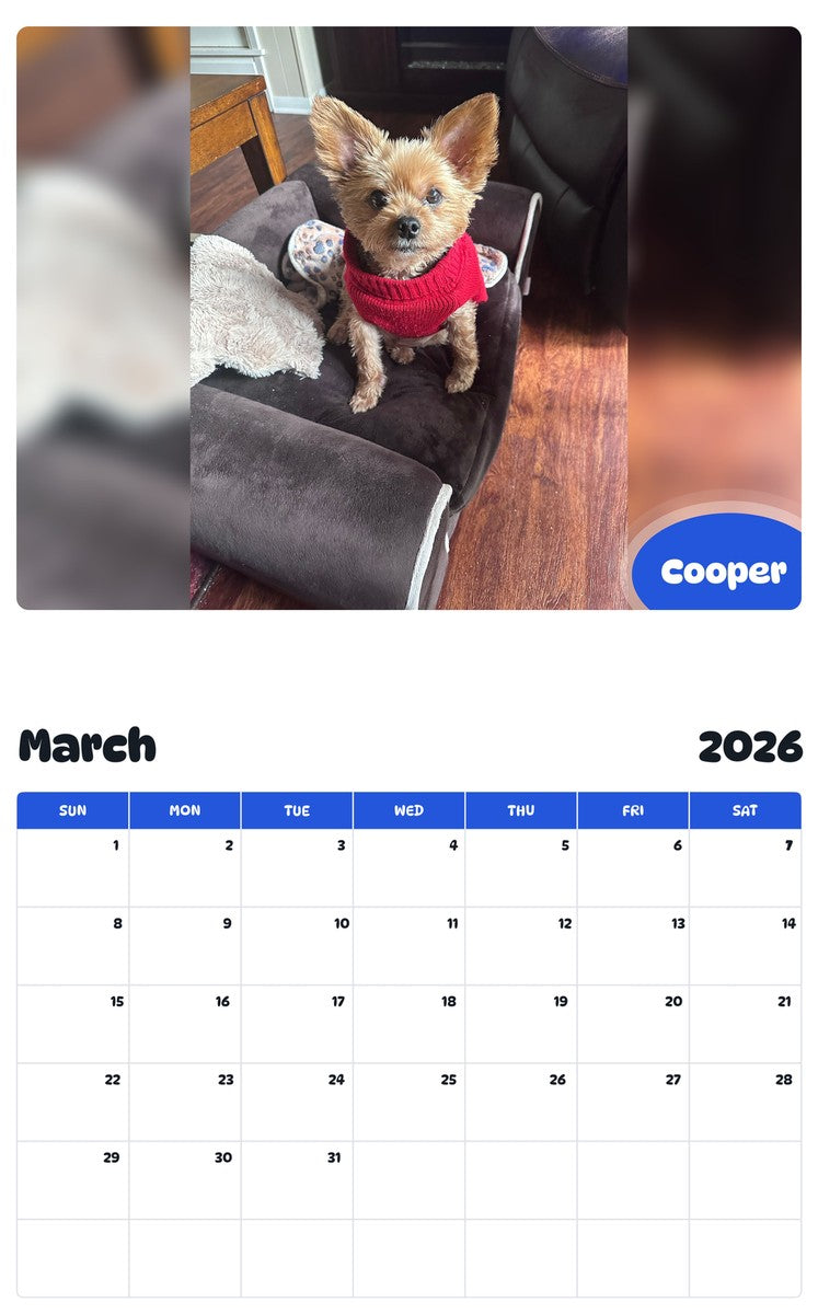 November 2025 - October 2026 Cooper - Pawidols Pet Calendar
