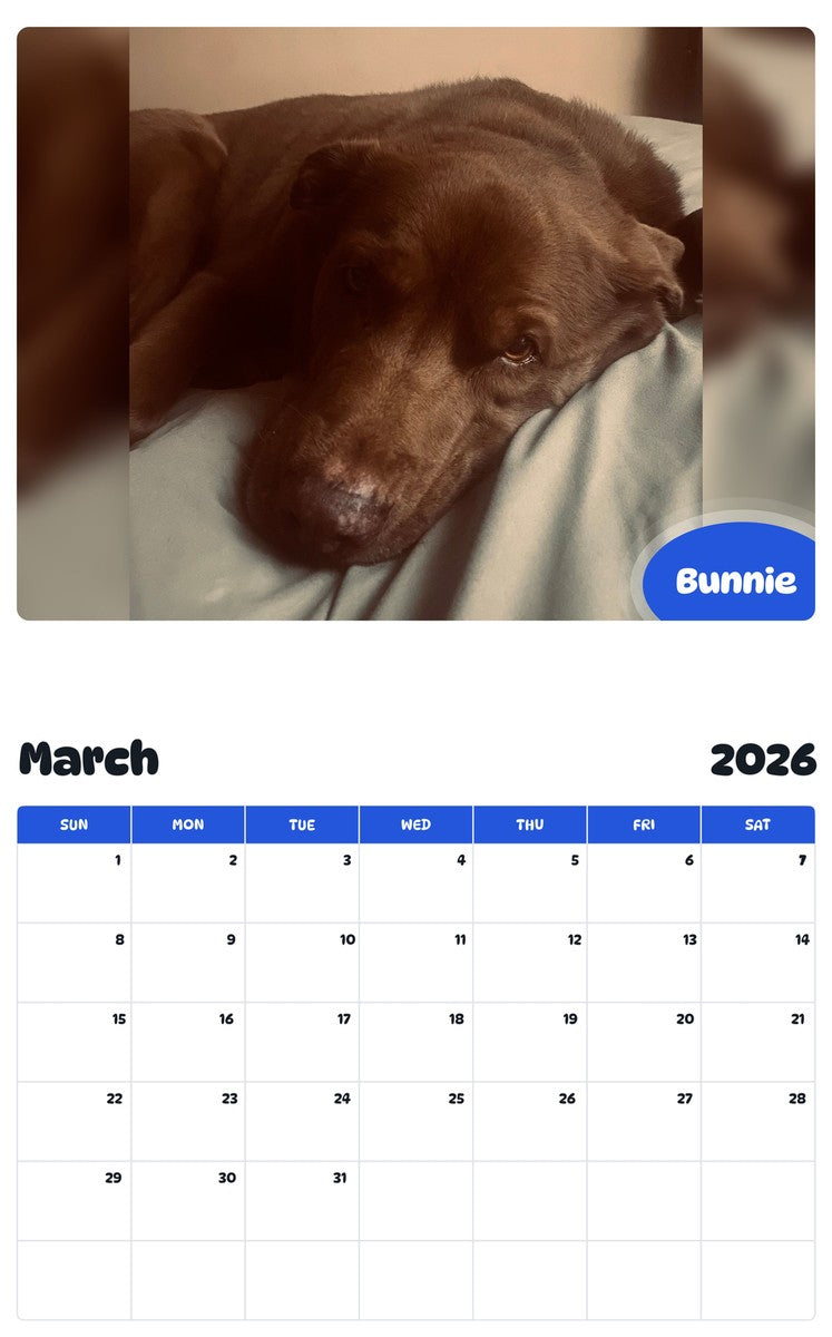 November 2025 - October 2026 Bunnie - Pawidols Pet Calendar