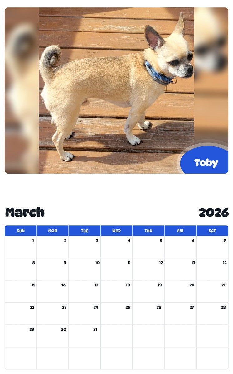 November 2025 - October 2026 Toby - Pawidols Pet Calendar