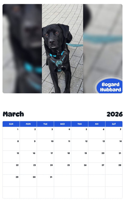 November 2025 - October 2026 Bogard Hubbard - Pawidols Pet Calendar
