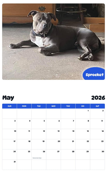 2026 - 2027 Sprocket - Pawidols Pet Calendar