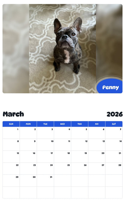 November 2025 - October 2026 Penny - Pawidols Pet Calendar