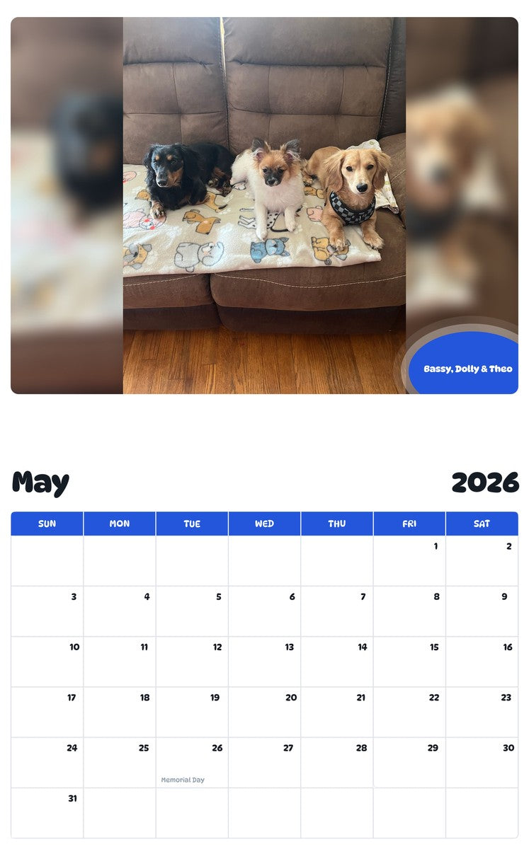 2026 - 2027 Bassy, Dolly & Theo - Pawidols Pet Calendar