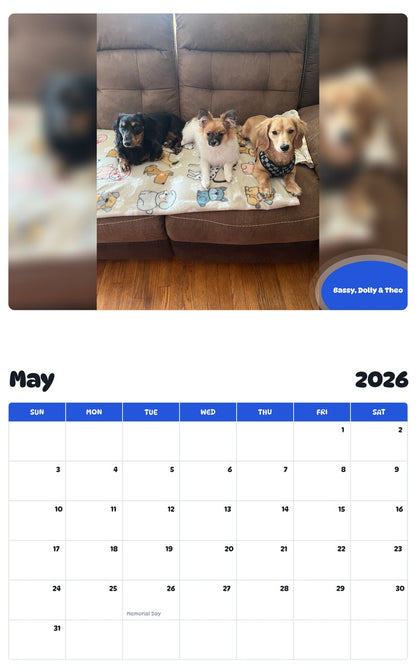2026 - 2027 Bassy, Dolly & Theo - Pawidols Pet Calendar