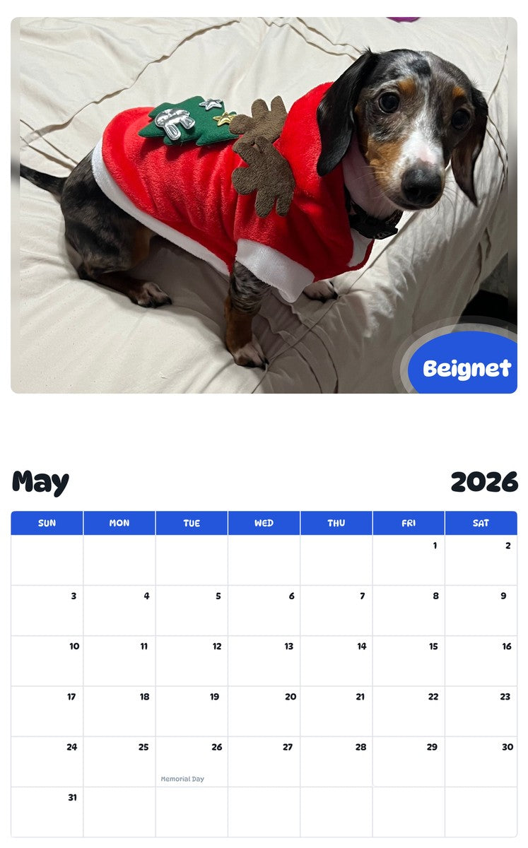 2026 - 2027 Beignet - Pawidols Pet Calendar