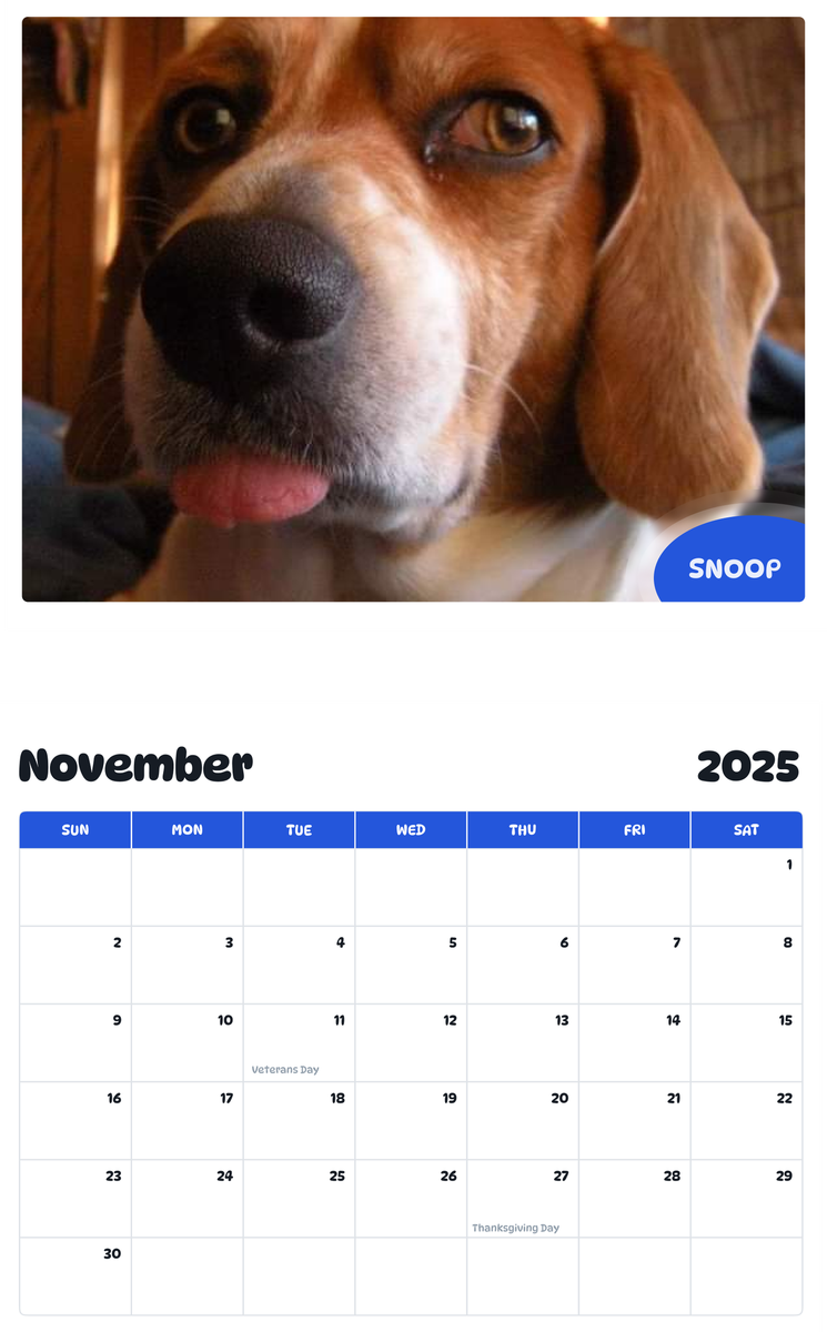 July 2025 - June 2026 Snoop - Pawidols Pet Calendar