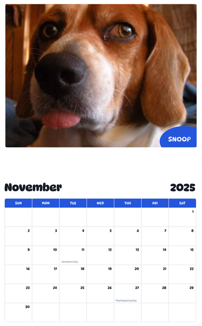 July 2025 - June 2026 Snoop - Pawidols Pet Calendar