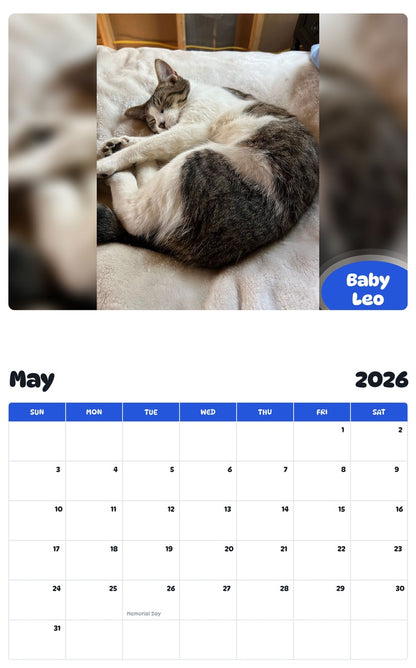 2026 - 2027 Baby Leo - Pawidols Pet Calendar