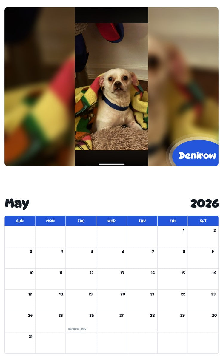 2026 - 2027 Denirow - Pawidols Pet Calendar