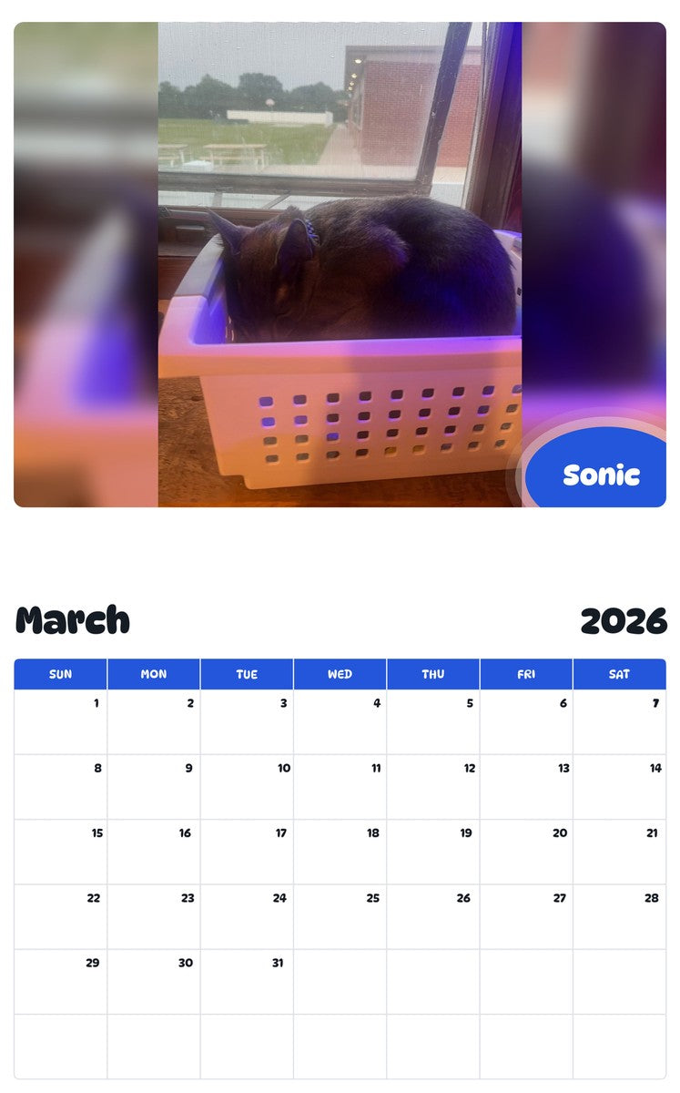 November 2025 - October 2026 Sonic - Pawidols Pet Calendar