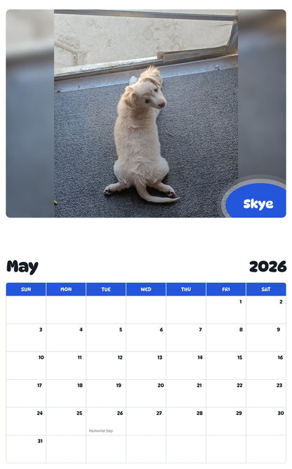 2026 - 2027 Skye - Pawidols Pet Calendar