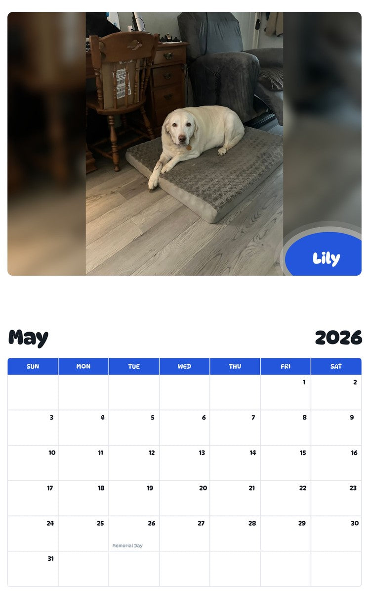 2026 - 2027 Lily - Pawidols Pet Calendar