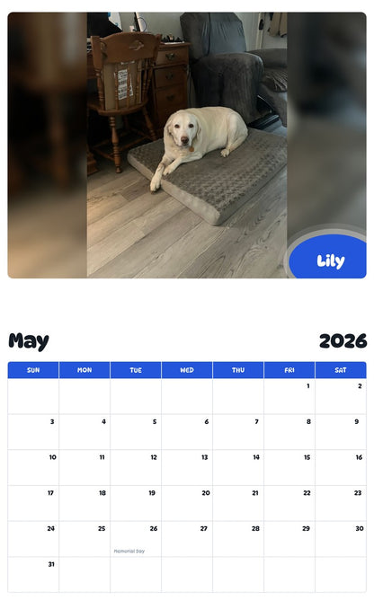 2026 - 2027 Lily - Pawidols Pet Calendar
