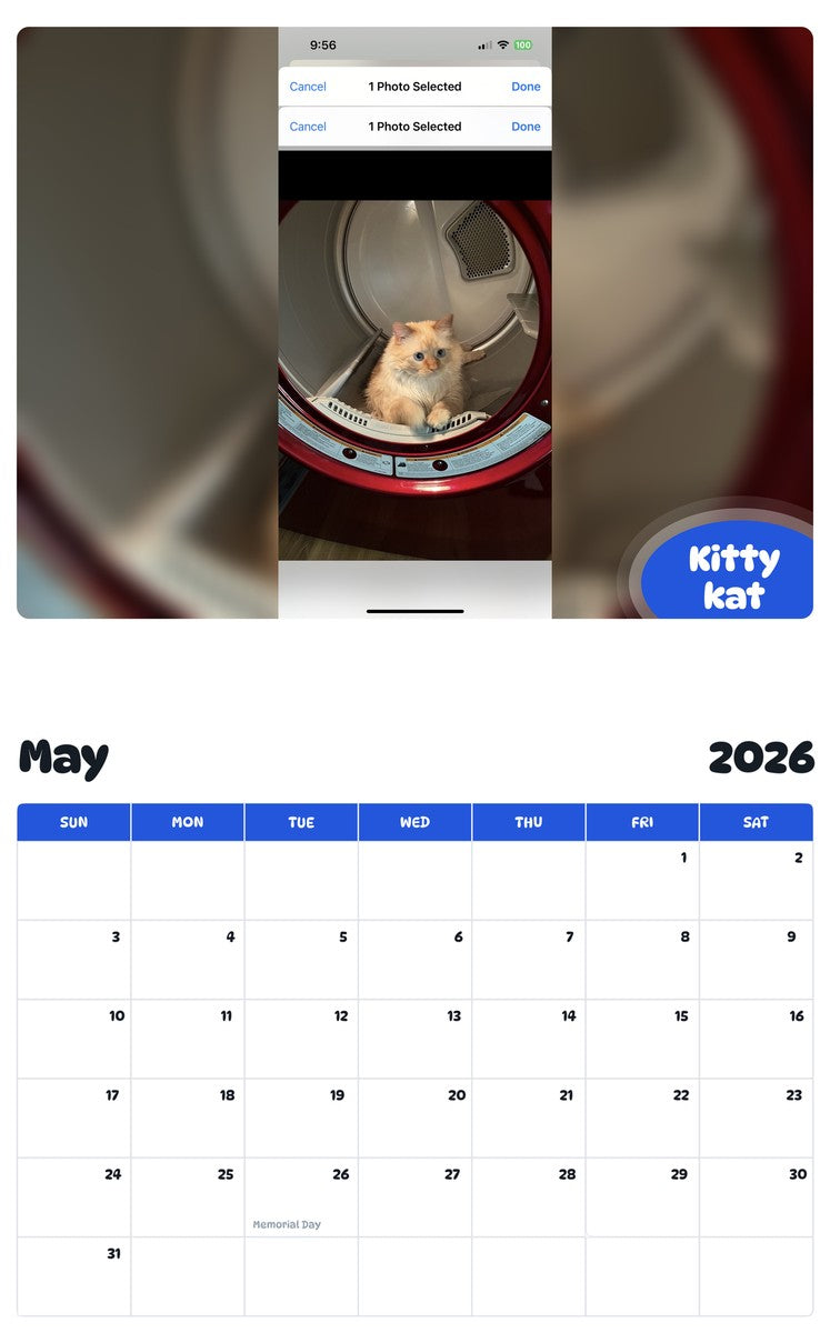 2026 - 2027 Kitty kat - Pawidols Pet Calendar