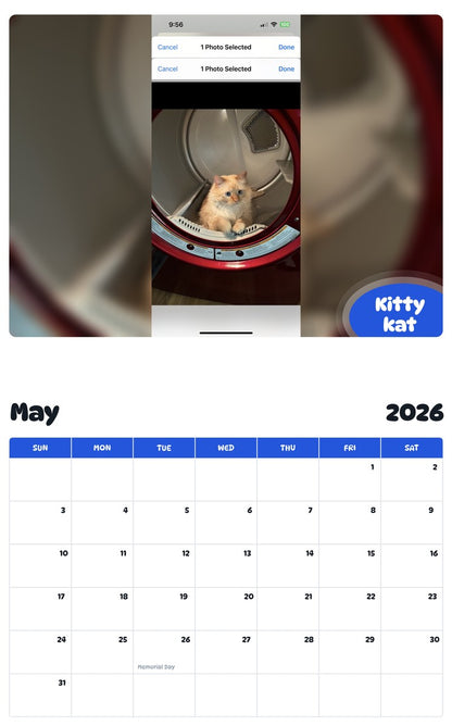 2026 - 2027 Kitty kat - Pawidols Pet Calendar