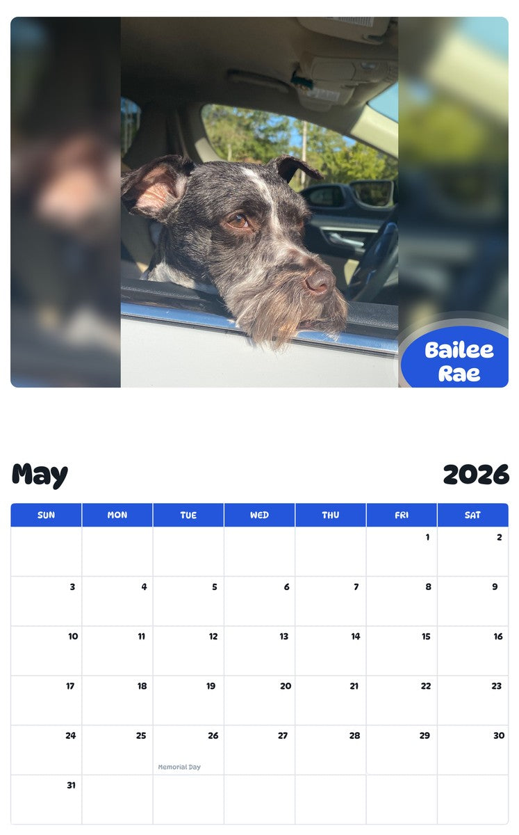 2026 - 2027 Bailee Rae - Pawidols Pet Calendar