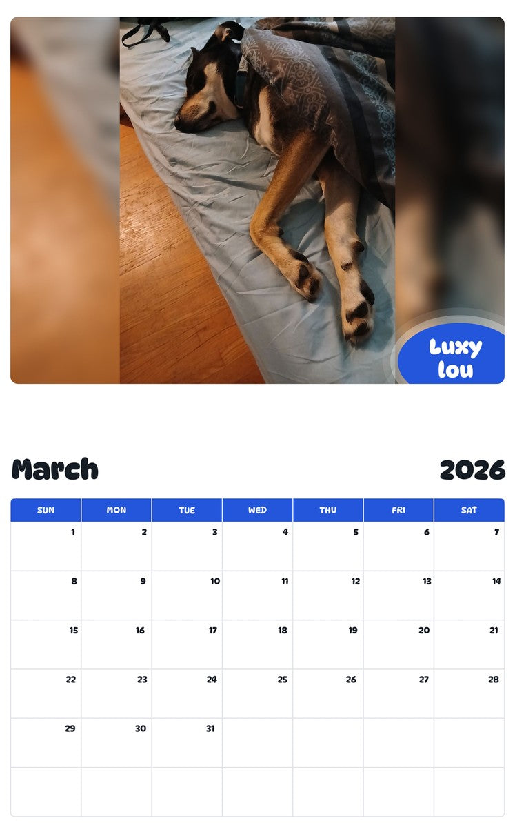 November 2025 - October 2026 Luxy lou - Pawidols Pet Calendar