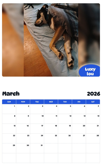November 2025 - October 2026 Luxy lou - Pawidols Pet Calendar
