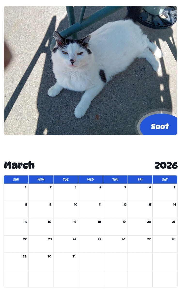 November 2025 - October 2026 Soot - Pawidols Pet Calendar