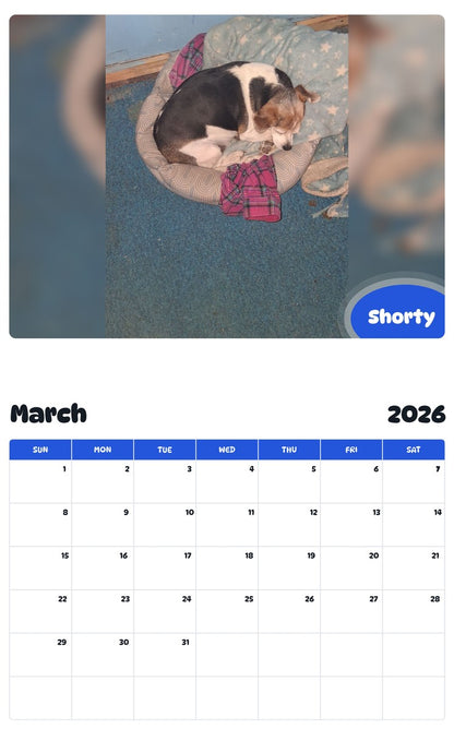 November 2025 - October 2026 Shorty - Pawidols Pet Calendar