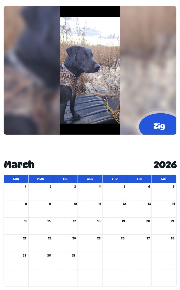 November 2025 - October 2026 Zig - Pawidols Pet Calendar