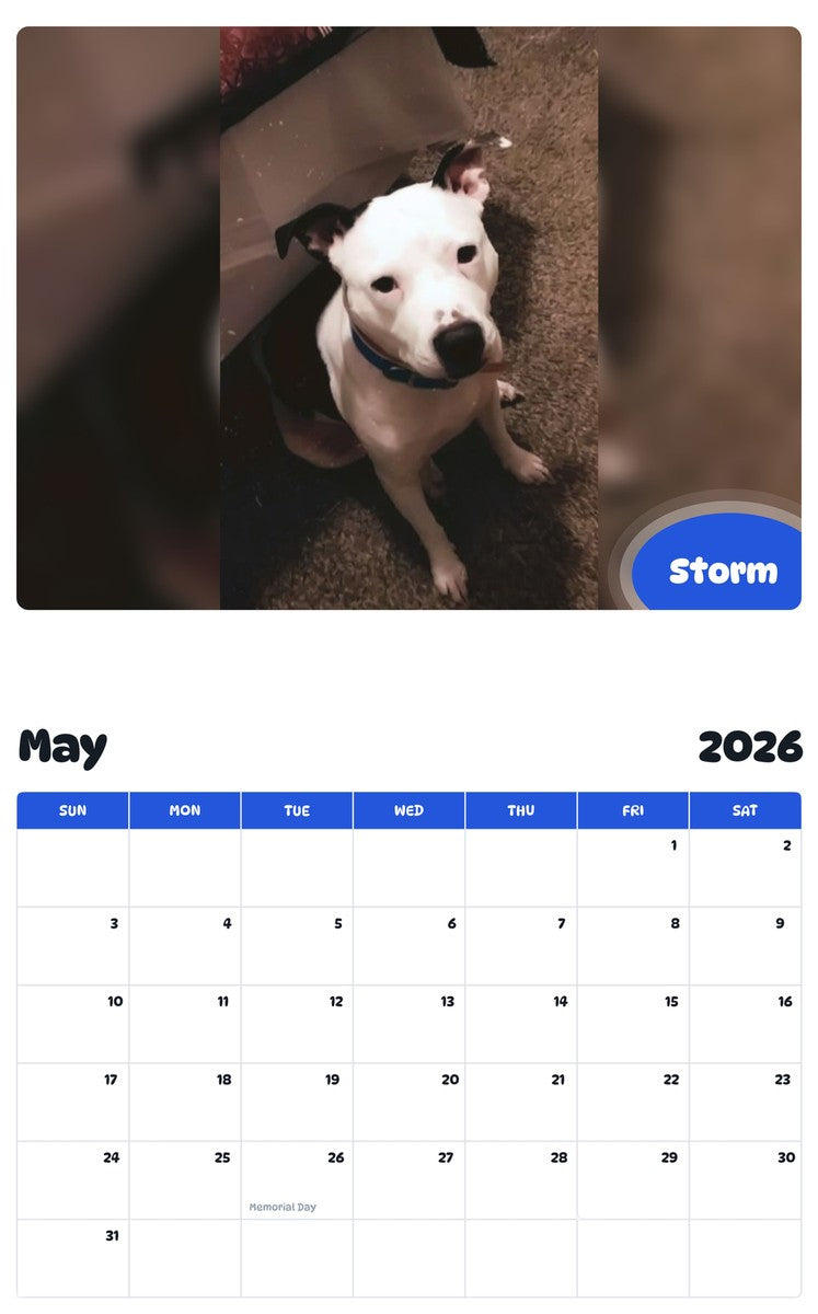 2026 - 2027 Storm - Pawidols Pet Calendar