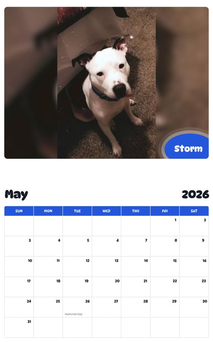 2026 - 2027 Storm - Pawidols Pet Calendar