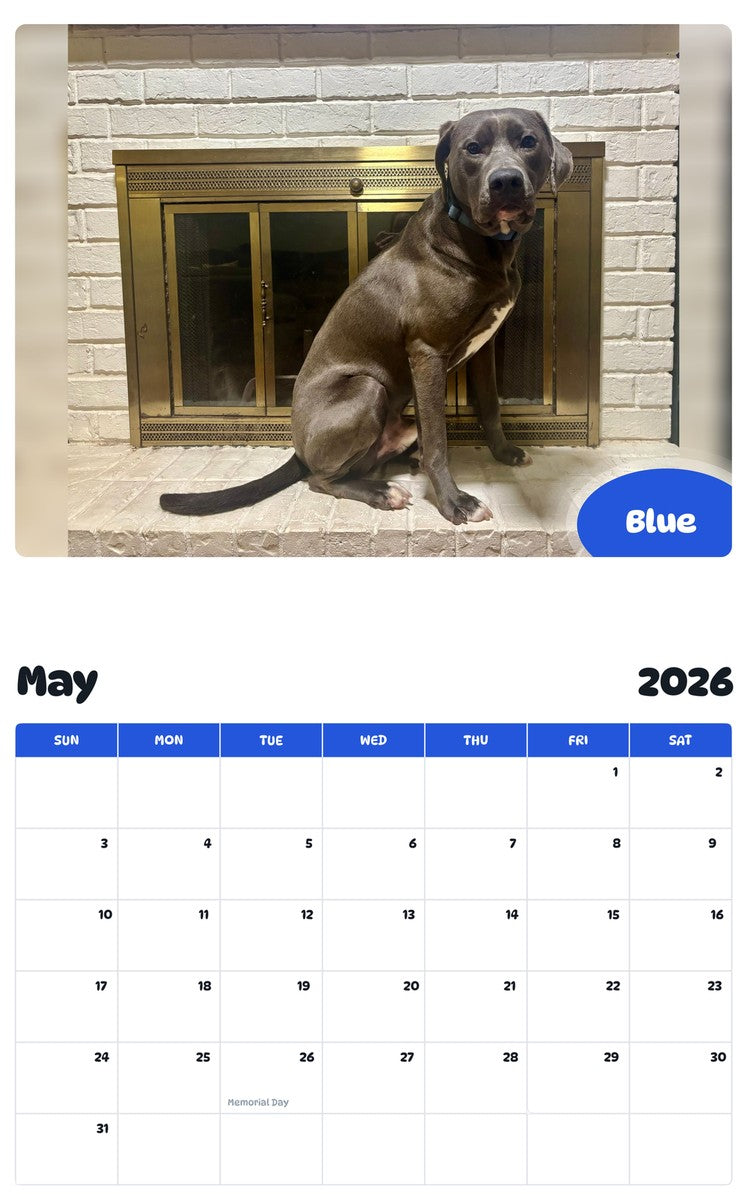 2026 - 2027 Blue - Pawidols Pet Calendar