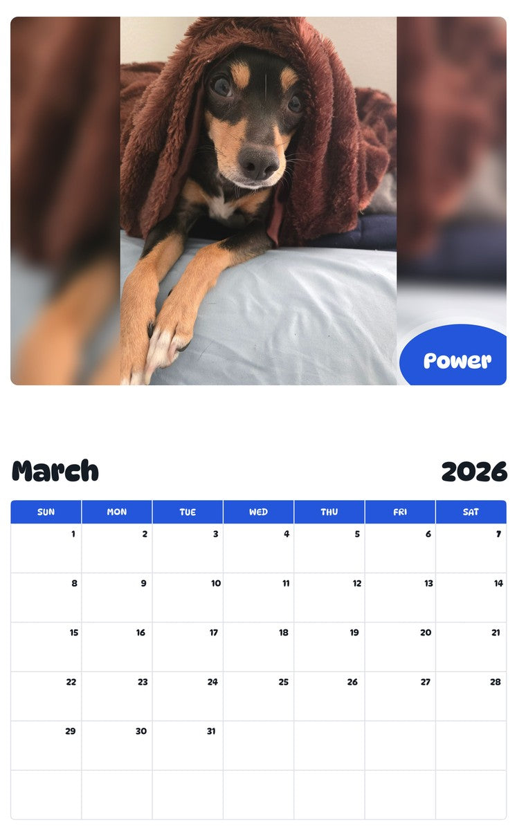 November 2025 - October 2026 Power - Pawidols Pet Calendar
