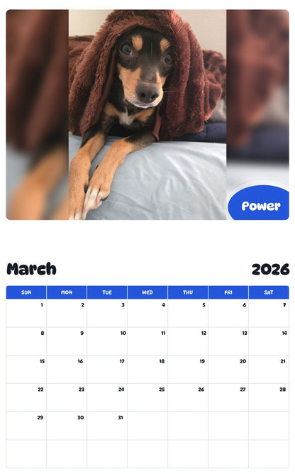 November 2025 - October 2026 Power - Pawidols Pet Calendar