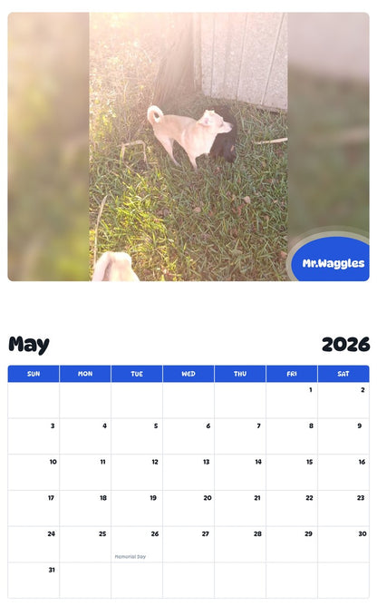 2026 - 2027 Mr.Waggles - Pawidols Pet Calendar