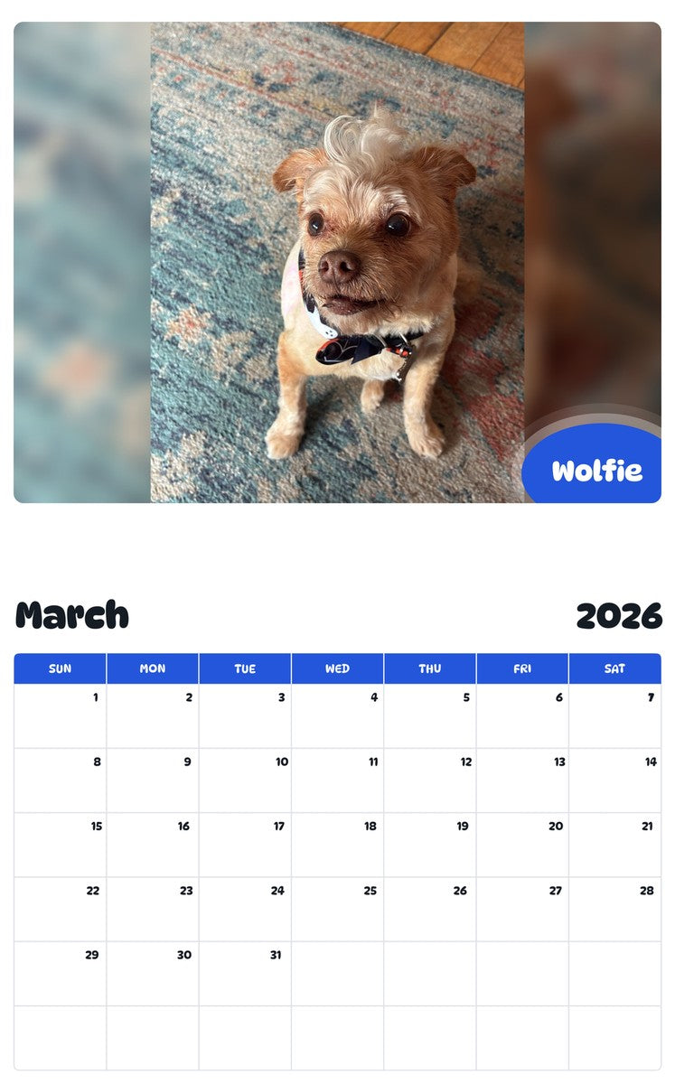 November 2025 - October 2026 Wolfie - Pawidols Pet Calendar