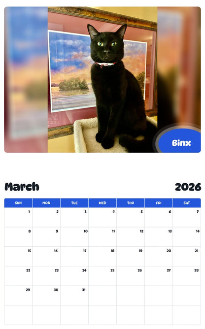 November 2025 - October 2026 Binx - Pawidols Pet Calendar