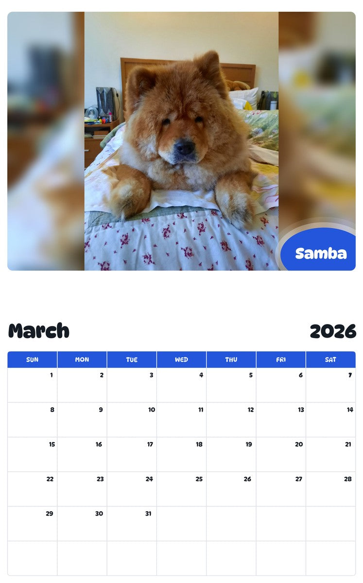 November 2025 - October 2026 Samba - Pawidols Pet Calendar