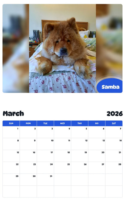 November 2025 - October 2026 Samba - Pawidols Pet Calendar
