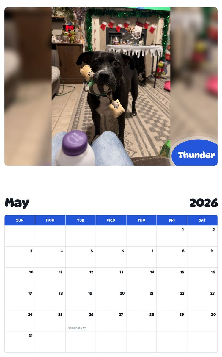 2026 - 2027 Thunder - Pawidols Pet Calendar