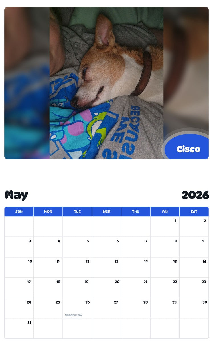 2026 - 2027 Cisco - Pawidols Pet Calendar