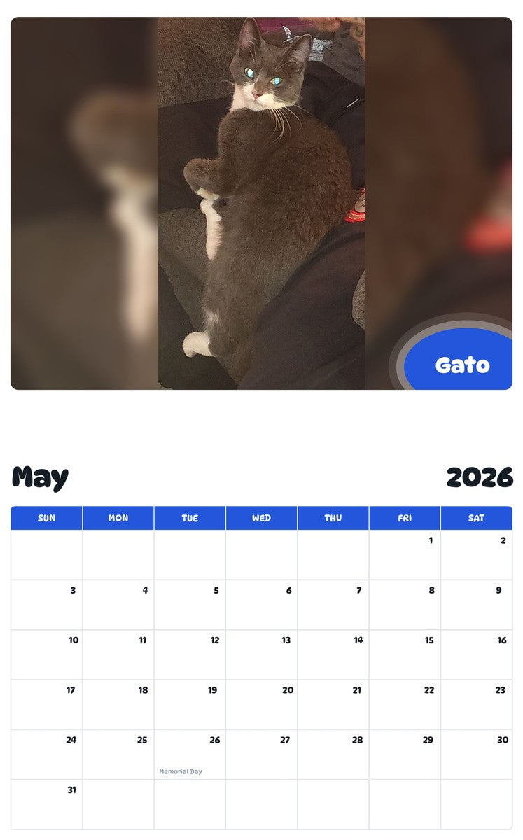 2026 - 2027 Gato - Pawidols Pet Calendar