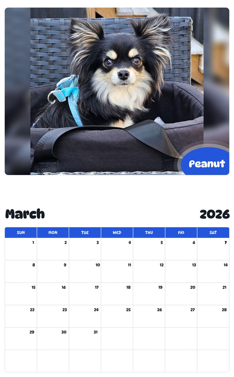 November 2025 - October 2026 Peanut - Pawidols Pet Calendar