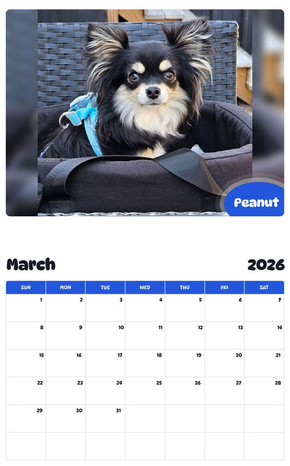 November 2025 - October 2026 Peanut - Pawidols Pet Calendar